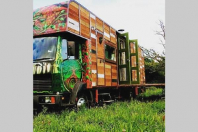 Glamp in Style in an Unique Horsebox Home